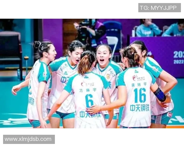 2023年排球力量排行榜揭晓上海排球队强势夺冠引发热议